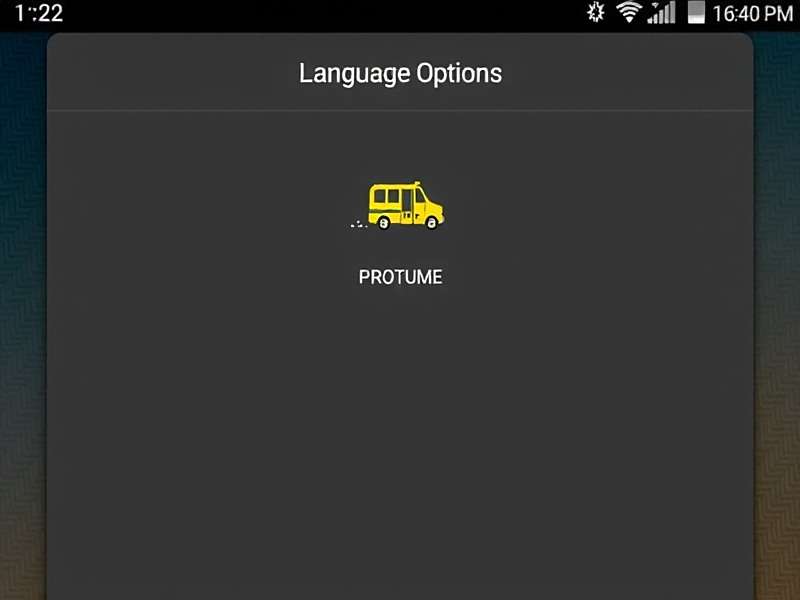 Tuk Tuk Dash India Language Options